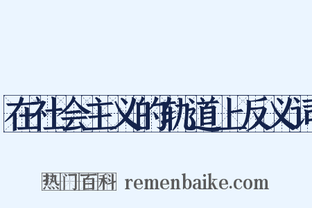 在社会主义的轨道上反义词是什么意思的图片
